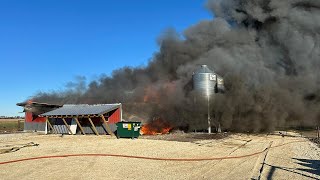 Explosion fire at Newton barn kills 20000 chickens [upl. by Sherborne265]