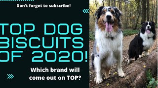 Top Dog Food Reviews of 2020 [upl. by Eetsim879]