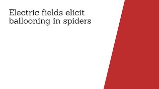 Electric Fields Elicit Ballooning in Spiders Curr Biol Jul 5 2018 Vol 28 Issue 14 [upl. by Sergu44]