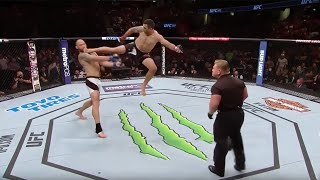 Fabrizio Werdum flying side kick to Travis browne [upl. by Ellenwahs]