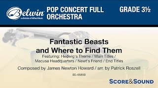 Fantastic Beasts and Where to Find Them arr Patrick Roszell – Score amp Sound [upl. by Fini583]