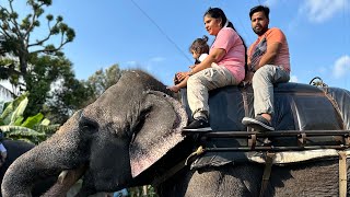 Thekkady Tourist Places  Things To Do in Thekkady  Kerala Trip😁 trending video youtube viral [upl. by Boucher852]