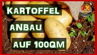 Kartoffel Anbau auf 100qm  Streuobstwiese 2020 [upl. by Nyrhtakyram301]