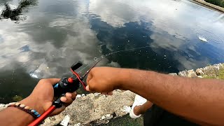 Light Tackle Canal Fishing [upl. by Chung882]