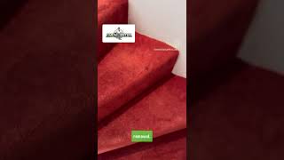 Video 2 after professional carpet clean walk through in real life Carpets looking spiffing [upl. by Malina]