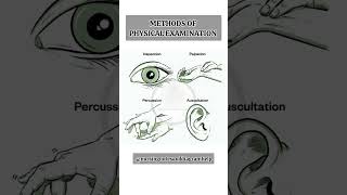 Methods of Physical Examination Head To Toe Examination nursingnotesanddiagramhelp nursing [upl. by Nilram]