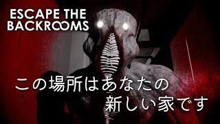 【高難度ホラー】1 究極の連帯責任『バックルーム』に再び集う男達【Escape the Backrooms】 [upl. by Aerdnad]