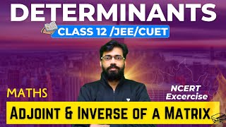 Adjoint amp Inverse of a Matrix 🔥 Determinants 04  Class 12 Maths Chapter 4  Class 12  JEE  CUET [upl. by Hannan]