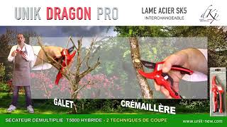 Sécateur à crémaillère  galet UNIK DRAGON PRO 2 systèmes de coupe 1 seul outil Taillez sans effort [upl. by Rosenquist216]