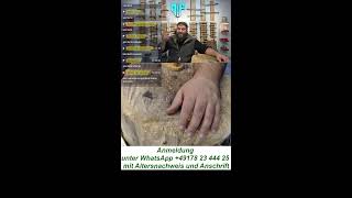 Messerfieber Live Auktionen 7 vs Wild Bushcraft Messer und mehr [upl. by Crooks237]