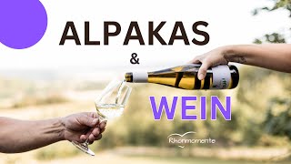 Alpakas amp Wein 🍷🦙 alpaka vino weingenuss [upl. by Odlaw]