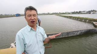 AN AQUACULTURAL REVOLUTION IN CHINA [upl. by Sylvester]