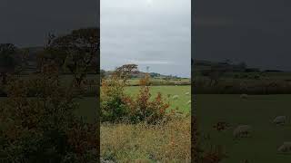 The view from Talsarnau train station is amazing eryri train snowdonia northwales views wales [upl. by Ppik]