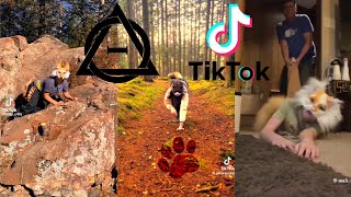 Therian and Quadrobics TikToks  Compilation 🐾🪱🪲 Alterhumans of TikTok 81 [upl. by Alley920]