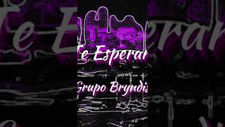 Te Esperare Grupo Bryndis [upl. by Alial]