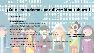 ¿Qué entendemos por diversidad cultural Observatorio Cultural [upl. by Alfons]