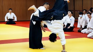 Amazing Aikido in Taiwan [upl. by Aradnahc591]