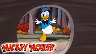 Micky Maus Kicherkracher  Kurzfilm Donald und die Eicheldiebe  Disney Channel [upl. by Gnurt]