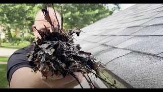 How to Clean Out Your Gutters and Downspouts [upl. by Efar]