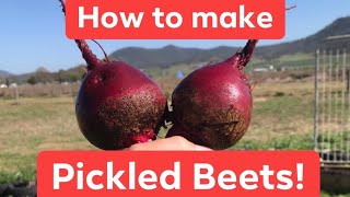 How to Pickle Beets [upl. by Amor]