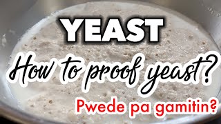 How to proof yeast  How to use yeast at malaman kung pwede pa [upl. by Ttsepmet]