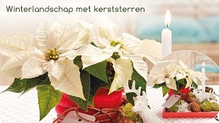 Decoratie idee voor bloemisten Winterlandschap met kerststerren [upl. by Addison837]