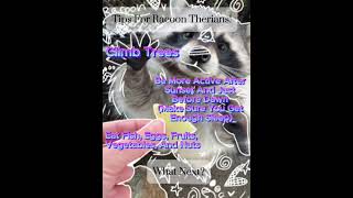 Racoon Therian Tips antizoo therian racoons savethebananabread bananabread [upl. by Wieren416]