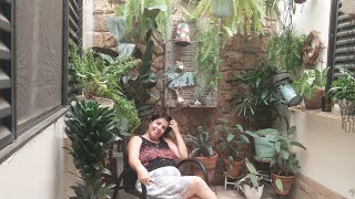 Arrumando as plantas no jardim secreto [upl. by Nywnorb]