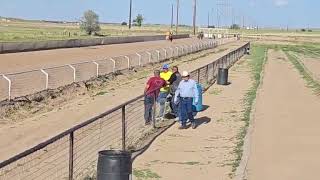 CCapitan vs CPrimos 2 Añeros 250yd [upl. by Elia914]