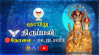 🔴 LIVE  Sunday Holy Mass in Tamil  6th october 2024  Annai Vailankanni Shrine [upl. by Atteiram]