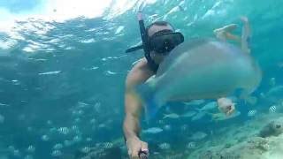 Snorkeling en Cayo Arena  Montecristi  AquamanRD [upl. by Ranique]