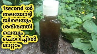 ചൊറിച്ചിലിനു ഇത് ഒറ്റ തവണ ഉപയോഗിച്ചാൽ മതിchorichil maranitching treatment at home remedy [upl. by Eiramanna356]