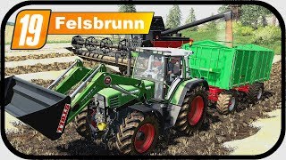 LS19 Felsbrunn 10  Die SOJABOHNEN Ernte bei HAFEN verkaufen  LANDWIRTSCHAFTS SIMULATOR 19 [upl. by Laehcim]