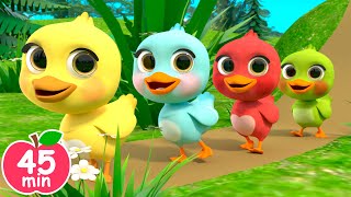 5 Little Ducks song  Newborn Baby Songs amp Nursery Rhymes [upl. by June254]