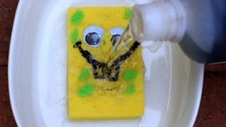 Sulfuric Acid vs Sponge  Chemical Reaction [upl. by Matless]