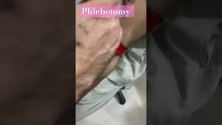 Phlebotomy trainingPhlebotomy short videoshorts youtubeshorts [upl. by Aneekal927]