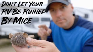 How To Keep Mice And Pest Out Of Your RV [upl. by Nagam]