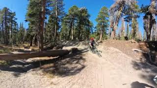 360 video Watch with VR goggles Mammoth trail [upl. by Lew]