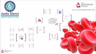Biometría Hemática 2a Parte [upl. by Nohtahoj]