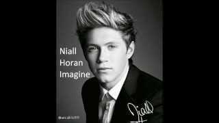 Beautiful Niall Horan Imagine You Cant Ban True Love IMAGINE [upl. by Torrey]