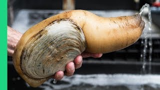 Exotic CHINESE FOOD Feast in Guangzhou 250 Snake Geoduck Sashimi and Sea Cucumber [upl. by Nosoj991]