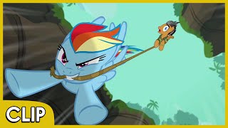 Rainbow and Quibble Pants in the Jungle  MLP Friendship Is Magic Season 6 [upl. by Arac]