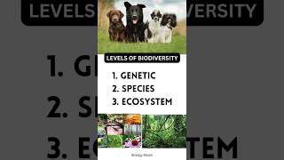 Levels of biodiversity Genetic Diversity  Species diversity  Ecosystem Diversity [upl. by Bedwell]