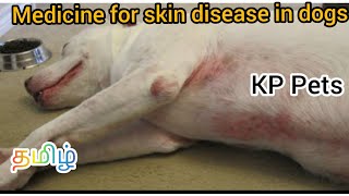 Medicine for skin disease in dogs  Pets sale  KP Pets  தமிழ் [upl. by Atalanta]