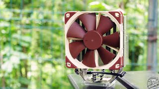 Noctua NHU12S Review [upl. by Odelle]