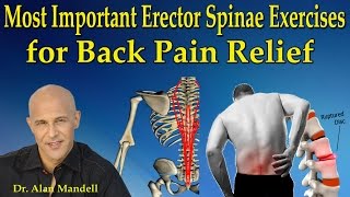 Most Important Erector Spinae Exercises for Back Pain Relief  Dr Mandell [upl. by Etiragram953]