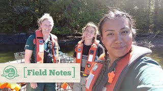 Controlling Invasive European Green Crabs  Field Notes  Parks Canada and Haida Nation [upl. by Eelamme962]