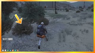 No Way Cops Are Hiding In These Bushes  NoPixel 40 GTA RP [upl. by Rorke386]