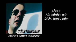 Thomas Steinlein  Als würden wir DichHerrsehn [upl. by Allac]