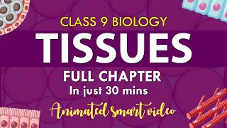 Tissues Class 9 Full chapter in one shot Animation  cbse 9 Biology  chapter 6 NCERT Science [upl. by Novia]